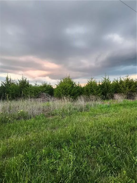 Linn Valley, KS 66040,53 Ravens Roost DR