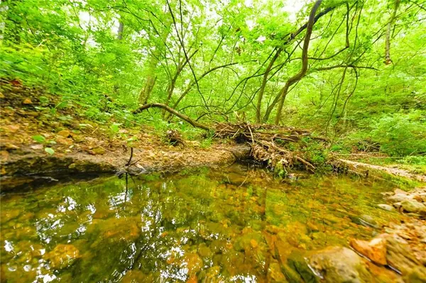 Climax Springs, MO 65324,TBD Fir RD