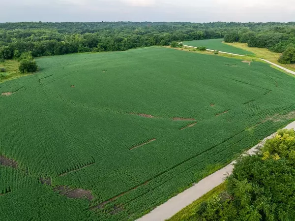 Grain Valley, MO 64075,Tract 4 Hardsaw RD