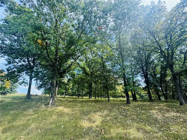 Lot #3041 Lake Viking TER, Gallatin, MO 64640