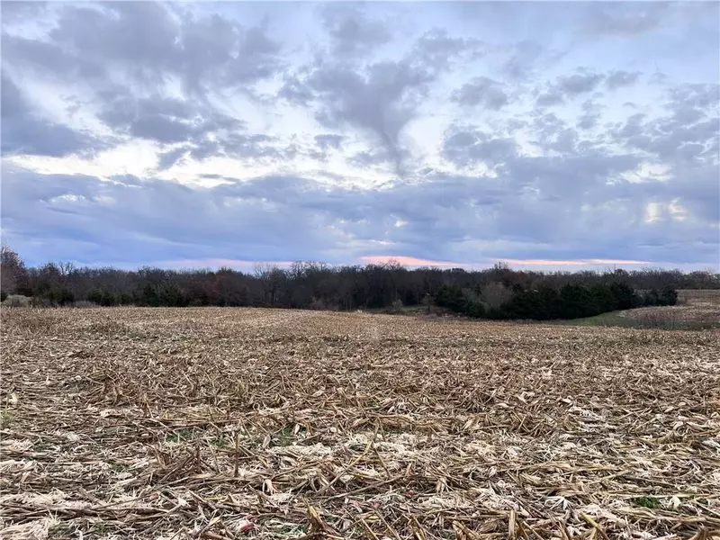 14+/- acres 110th ST, Cameron, MO 64429