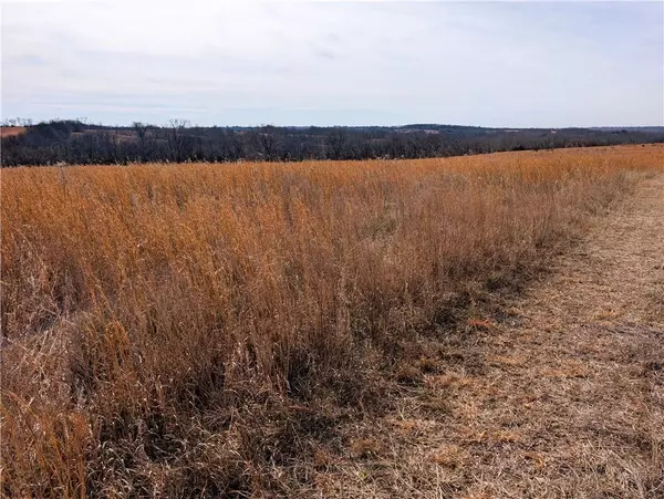 Tract 1 NE State B HWY Spickard, MO 64673