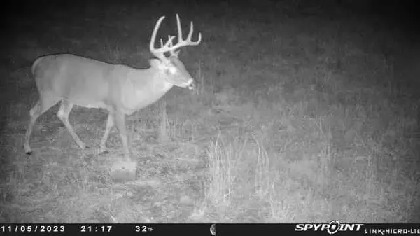 Harrisonville, MO 64701,S Mcclain RD