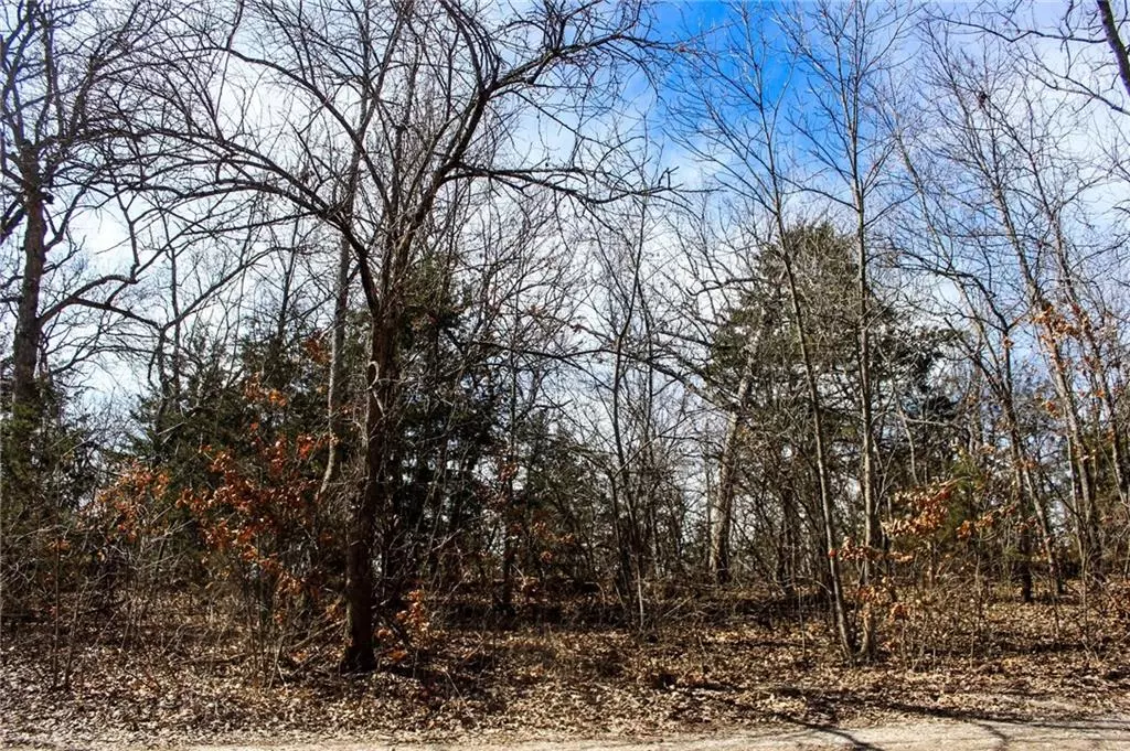 Lacygne, KS 66040,38 & 42 SW Lakeside DR