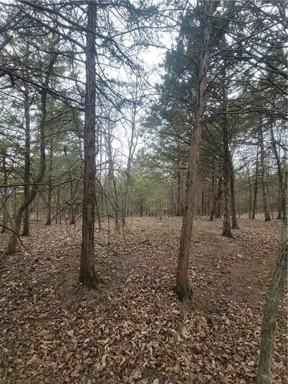 Linn Valley, KS 66040,65 Ridgewood DR