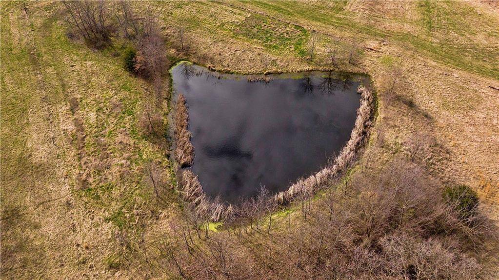 Stewartsville, MO 64490,NW Old  Cemetery RD