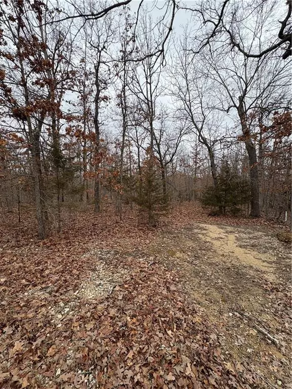 Camdenton, MO 65020,LOT 14 Roosevelt RD
