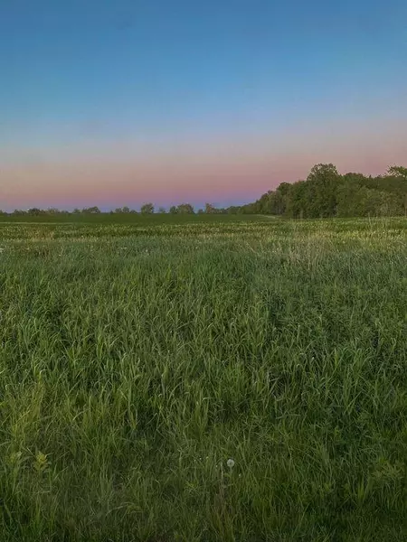 Lot 1 State Route W HWY, Drexel, MO 64742