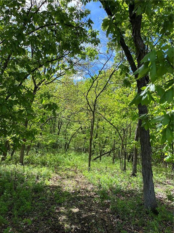 Leeton, MO 64761,to be determined SE 371st RD