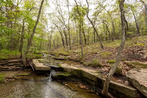 El Dorado Springs, MO 64744,0000 E Quail & 2650 RD