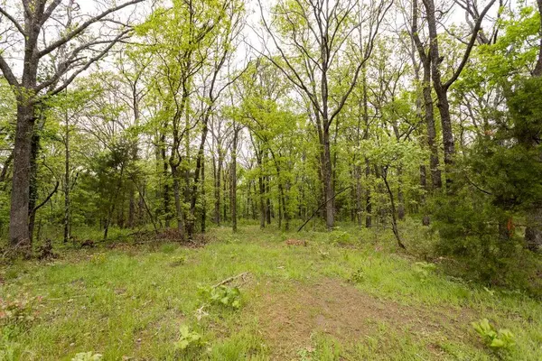 El Dorado Springs, MO 64744,0000 E Quail & 2650 RD