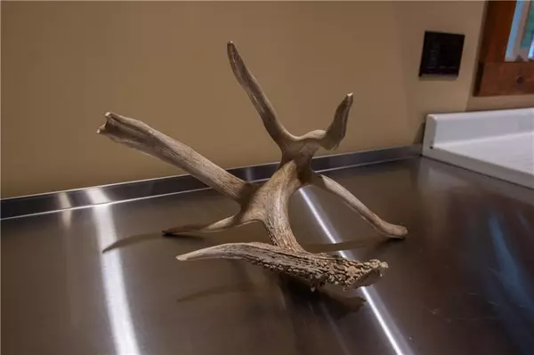 Burlington Jct, MO 64428,15024 Century TRL