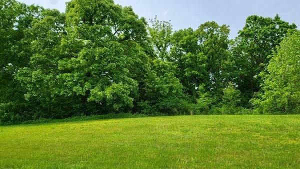 Lot 19 TBD SE Holstein DR, Oak Grove, MO 64075
