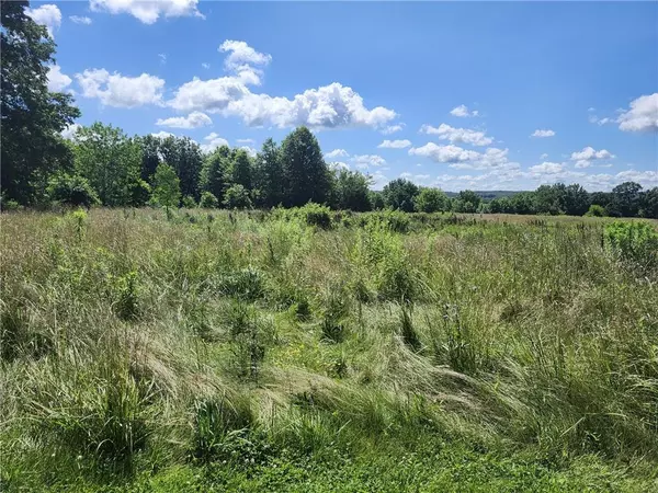 Walnut ST, Newtown, MO 64667