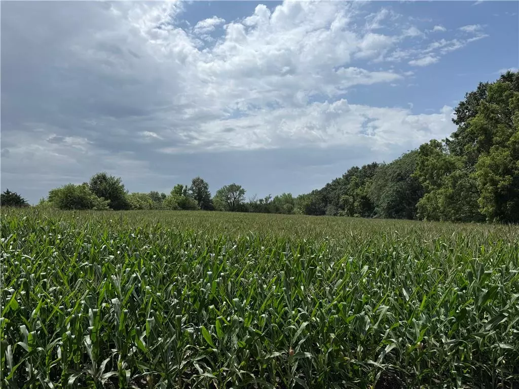 Cameron, MO 64429,75 +/- acres Raven RD
