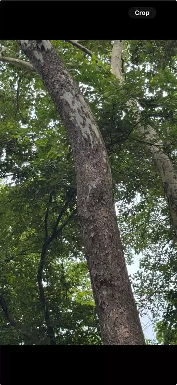 Linwood, KS 66052,23436 Guthrie RD