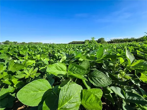 White City, KS 66872,2100 RD