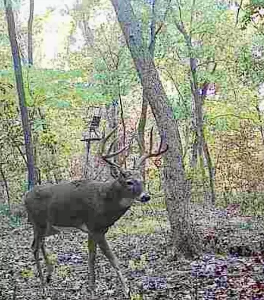 Rayville, MO 64084,13150 Norris RD