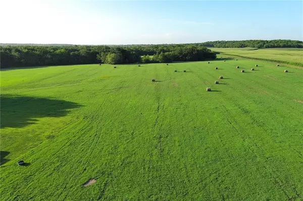 Kingsville, MO 64061,1661 NW 650 RD