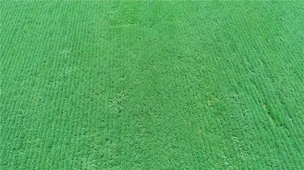 Craig, MO 64437,1 Amber DR