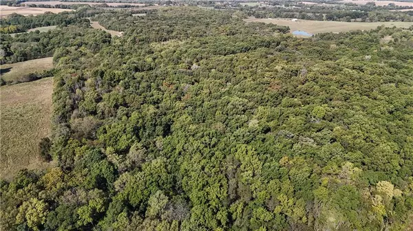 Cosby, MO 64436,290 RD