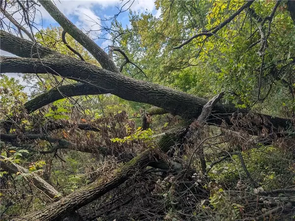 Ridgeway, MO 64481,E 280th ST