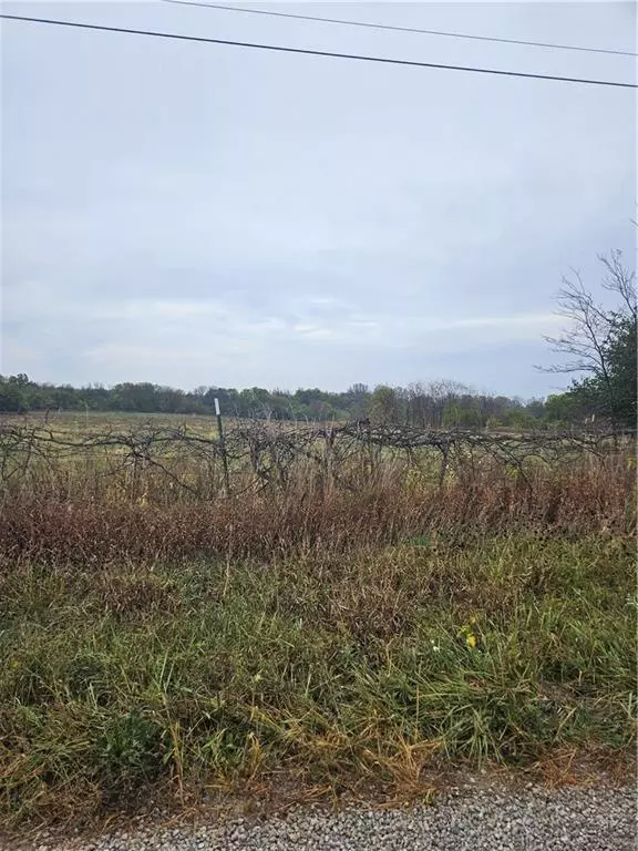 Harrisonville, MO 64701,21908 E 321st ST