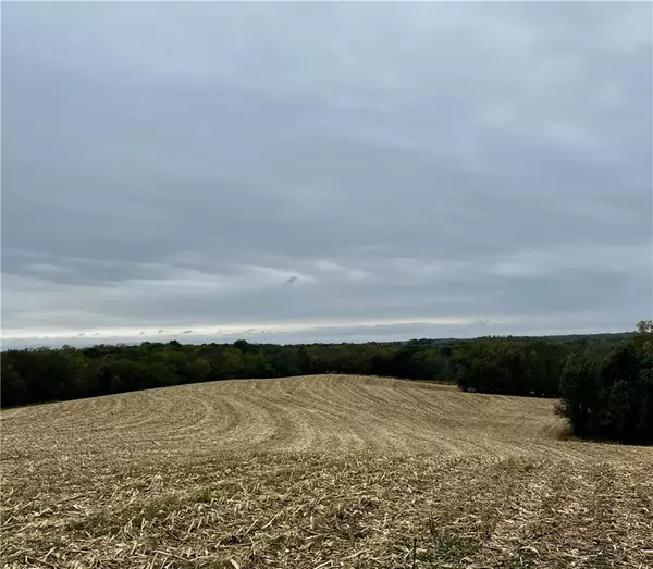 Tract 2 County Road 422 RD, Amazonia, MO 64421