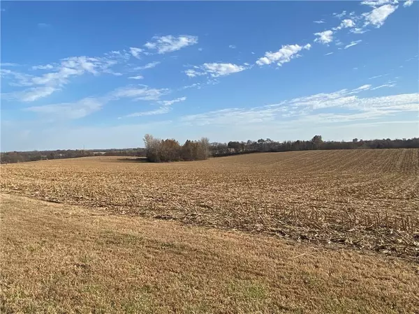 Faucett, MO 64448,3298 SE Taos RD