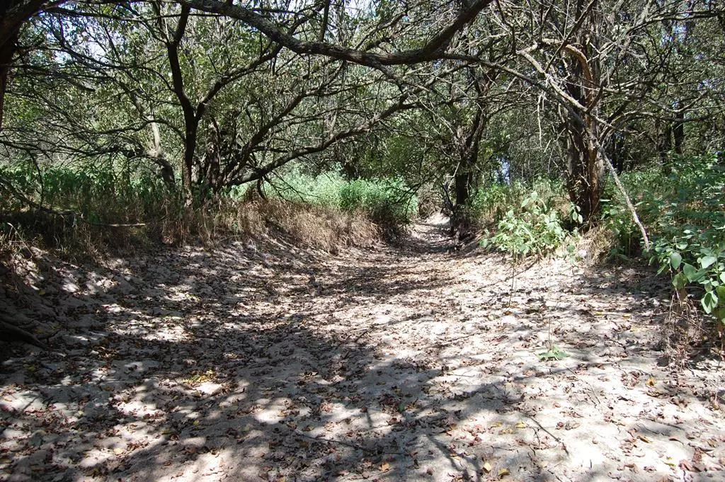 Caldwell, KS 67024,1012 S Anson RD