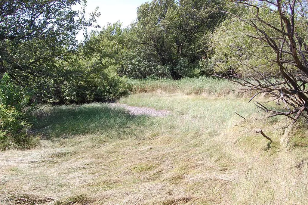 Caldwell, KS 67024,1012 S. Anson N/A