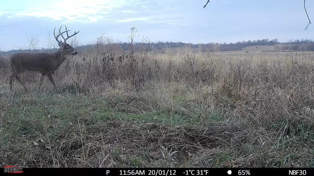 00000 Quinter RD, Altoona, KS 66710