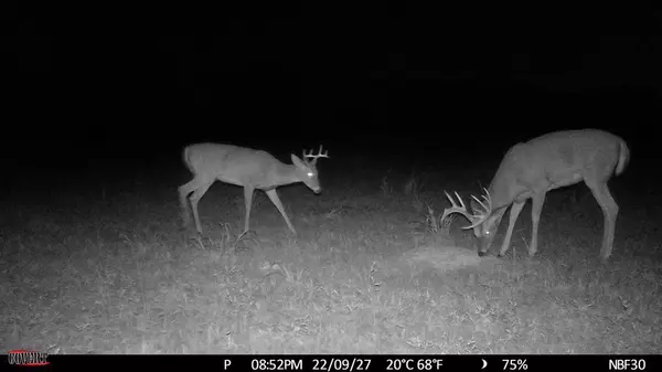 Altoona, KS 66710,0 Quinter RD