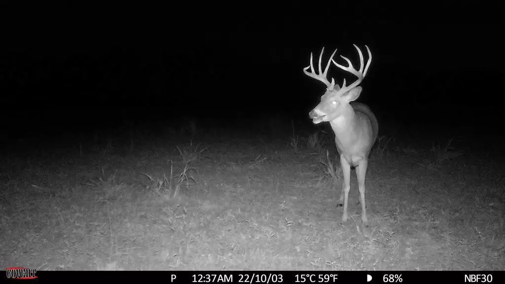 0 Quinter RD, Altoona, KS 66710