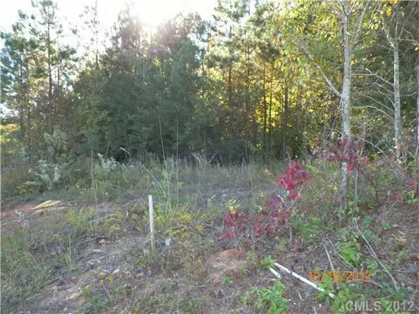 0 Harper Hearne RD #Lot 10, New London, NC 28127