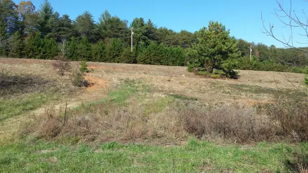 Taylorsville, NC 28681,Lot 4 Franklin LN