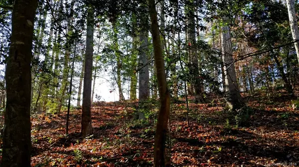 Denver, NC 28037,Lot #202 Stormy Pointe CT #202