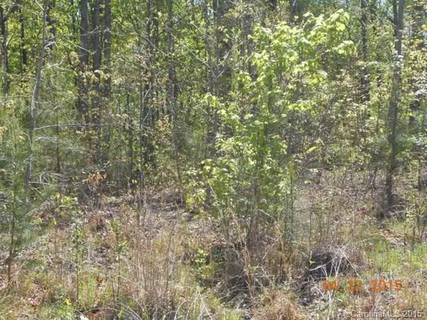 Nebo, NC 28761,Lot 73 Tayberry DR