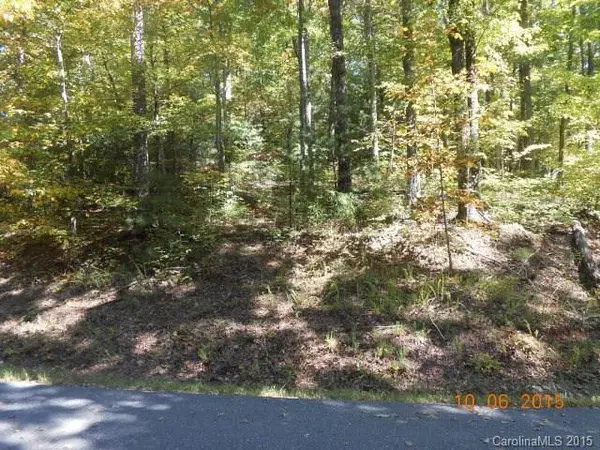 Marion, NC 28752,Lot 80 Grants Mountain None