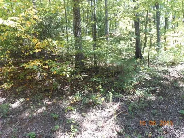 Marion, NC 28752,Lot 80 Grants Mountain None