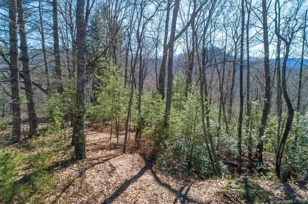 Cullowhee, NC 28723,Lot #11 Hooper Cemetery RD