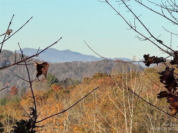 10 Clear Fork LN #530, Fairview, NC 28730