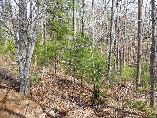 Marshall, NC 28753,00 Persimmon LN #Lot 13