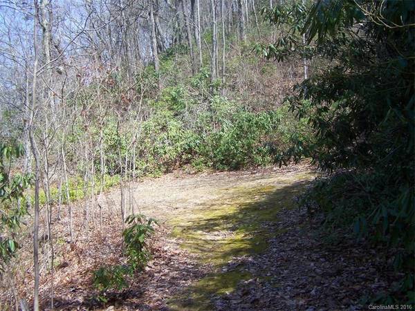 Waynesville, NC 28786,Lot 7 Anglers RDG #7