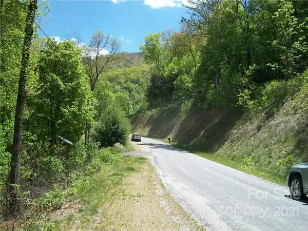Maggie Valley, NC 28751,53 Wildcat Run RD #53