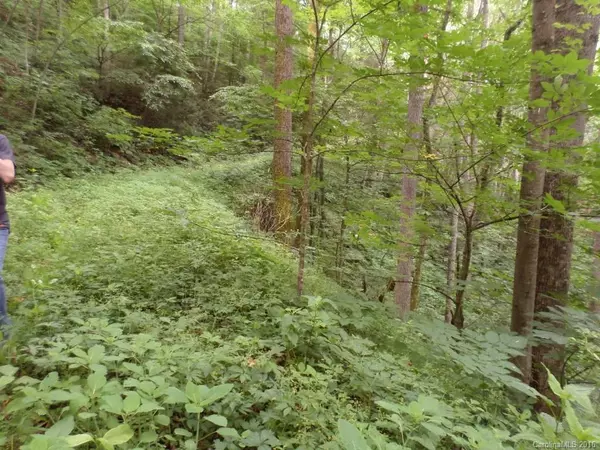 Waynesville, NC 28785,Lot 15 Minerva DR