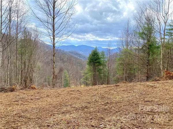 Hot Springs, NC 28743,999 Bee Branch RD