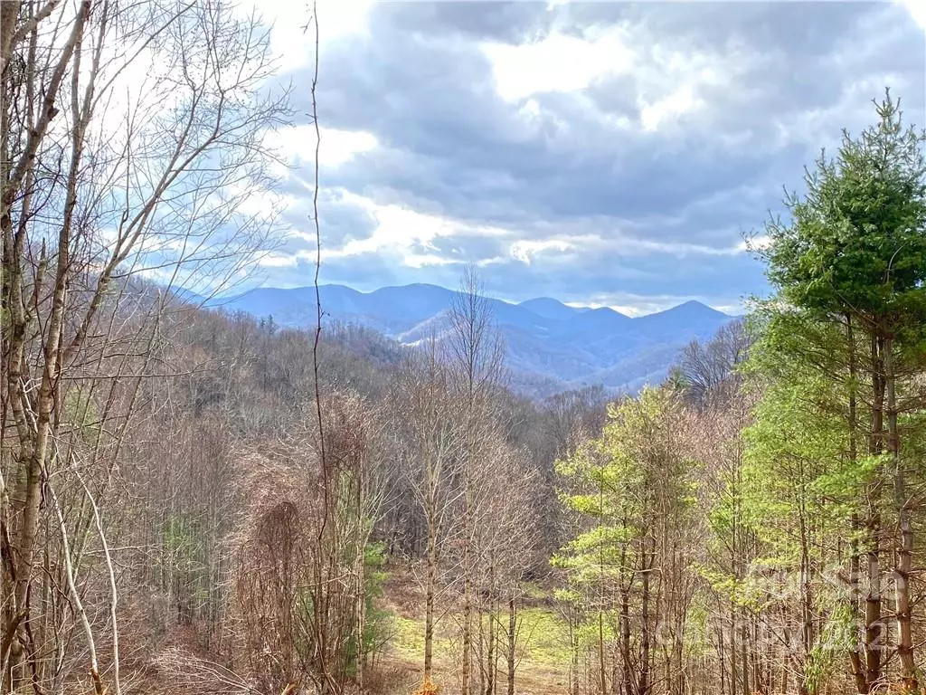 Hot Springs, NC 28743,999 Bee Branch RD