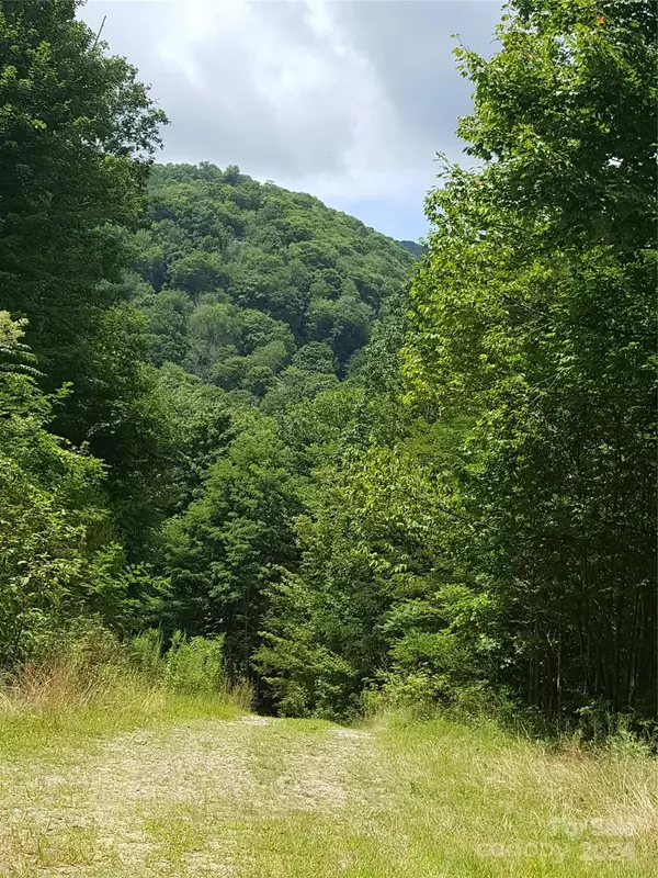 Maggie Valley, NC 28751,112 Tenderfoot TRL #112