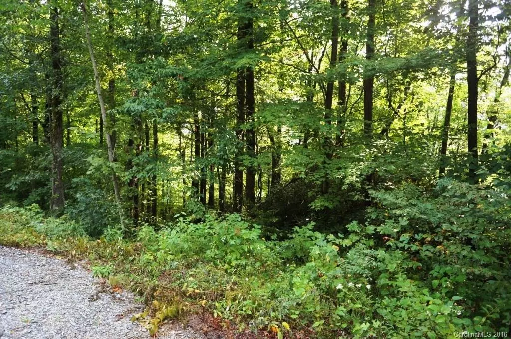 Rosman, NC 28772,Lot 43 Eastatoe Gap RD